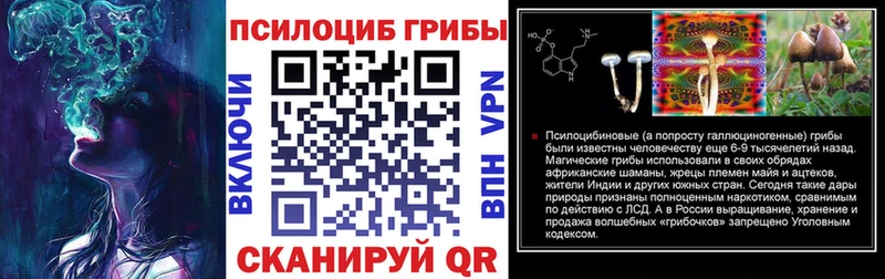 Псилоцибиновые грибы мицелий  Городище 